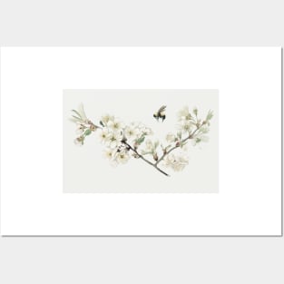 Vintage apple blossom illustration in a Christmas card Posters and Art